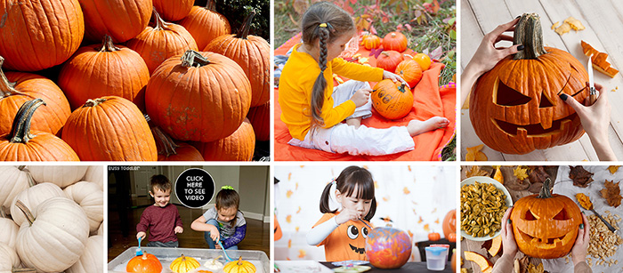 PICK YOUR PUMPKIN