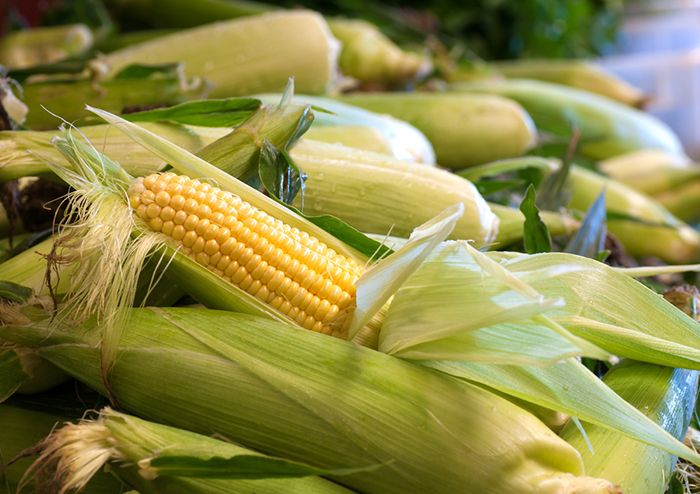 Sweet Corn Cobb Grill